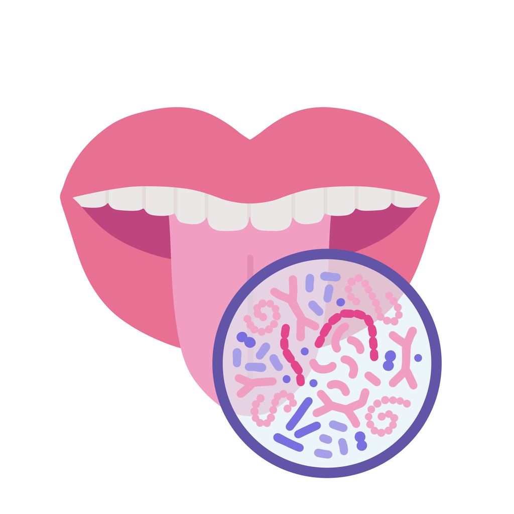 La microbiota dental.